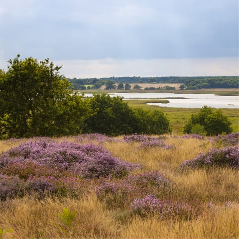 Explore the big skies and natural beauty of Suffolk and the Stour Valley