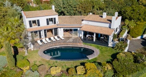 Southern Beauty image 13
