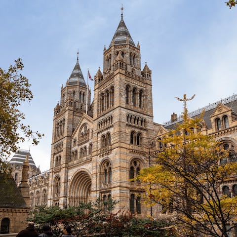 Soak up some culture in South Kensington, home to world-class museums