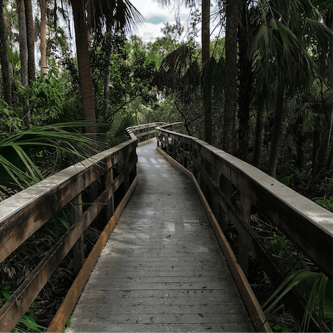 Spend the day exploring the Everglades National Park, only minutes away
