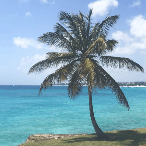Indulge your senses on the stunning island of Barbados