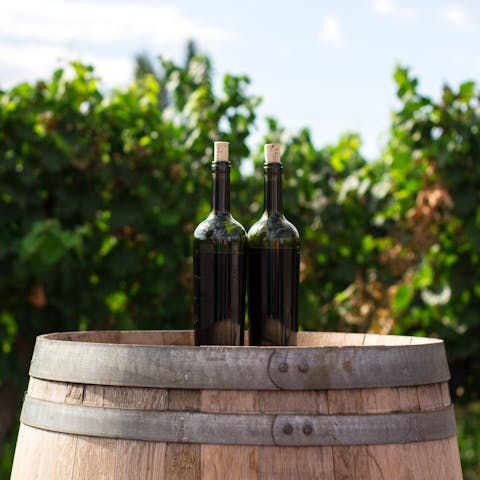 Pay a visit to one of the local vineyards for a port tasting session