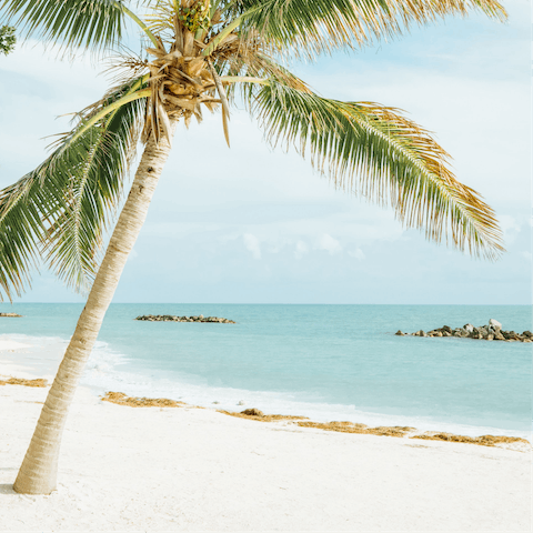 Head out for a beach day on Southernmost Beach's famous sandy stretches