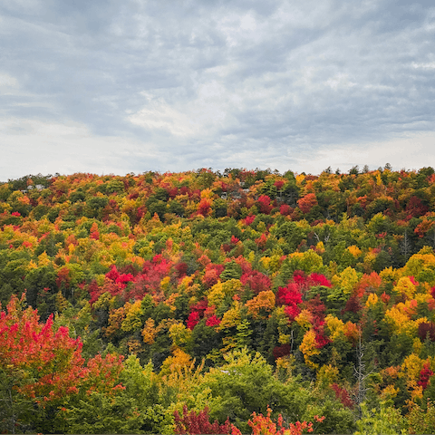 Grab your camera and hike the local trails through the Catskills