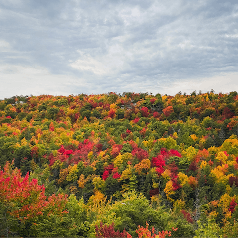 Grab your camera and hike the local trails through the Catskills 