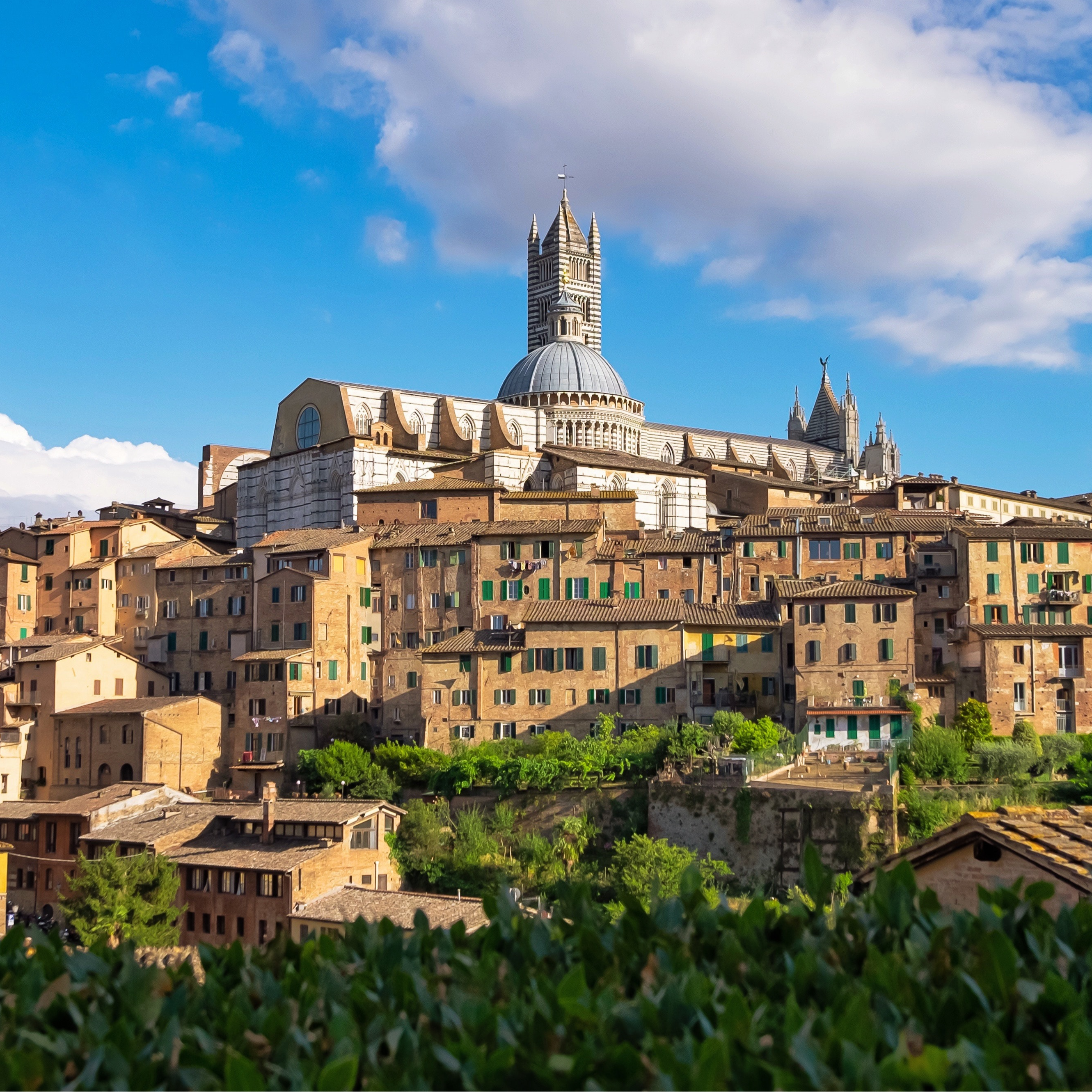 Treasure in Tuscany Bucine Arezzo Plum Guide