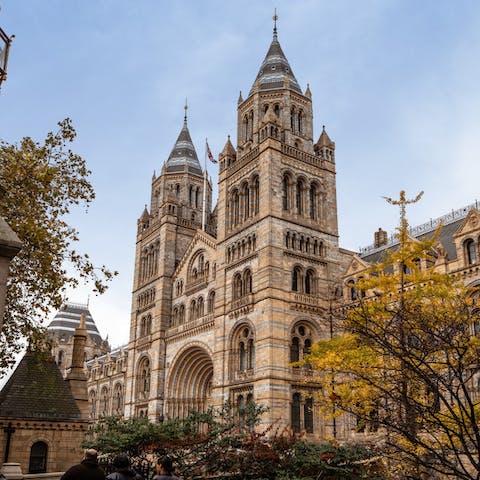 Spend the day exploring the South Kensington museums nearby