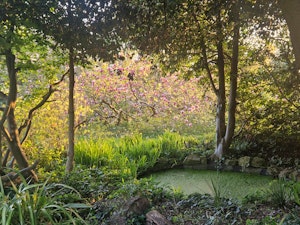 A Place of Magic image 7