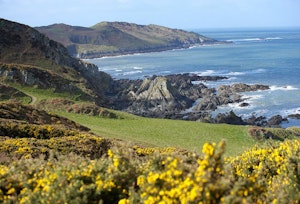 Lighthouse Haven image 10