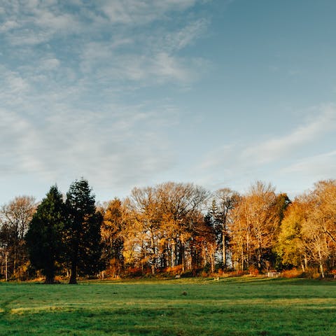 Wander the acres of enclosed grounds surrounding the Georgian estate