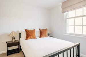 Pimlico Rose image 5