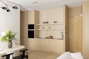 Classic Haussmann image 13