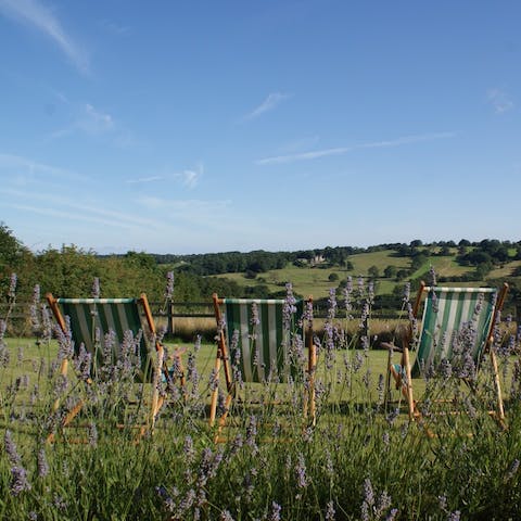 Relax in the ten acres of grounds with beautiful countryside views