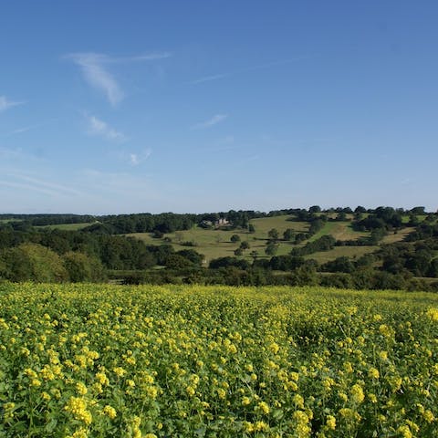 Explore the footpaths and fields of the surrounding countryside