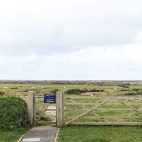 Pull on your hiking boots to explore Northam Burrows