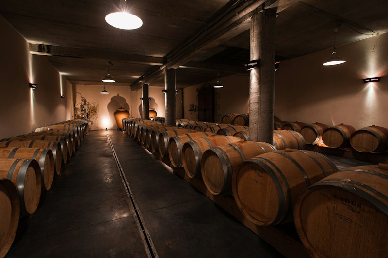 Comte de Montagny additional image