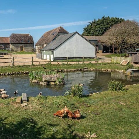 Pop along to the farm's shop for fresh eggs for breakfast