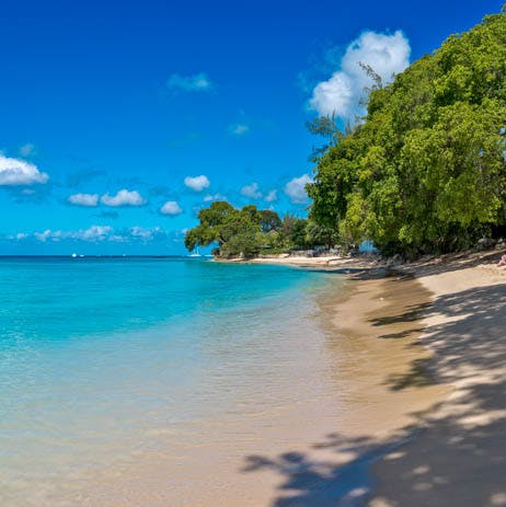 Sink your feet into the sand and soak up the Caribbean sun at Gibbes beach