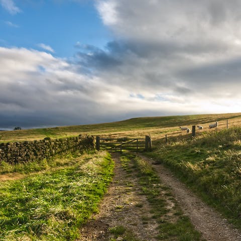 Pack supplies and head out on a walk through the nearby North York Moors
