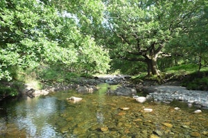 Stanley Ghyll Cottage image 5