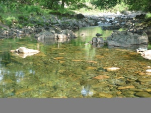 Stanley Ghyll Cottage image 4