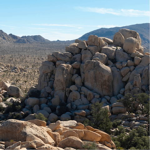 Make your way to Joshua Tree National Park in just thirty minutes