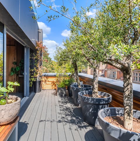 Relax on the roof terrace among greenery