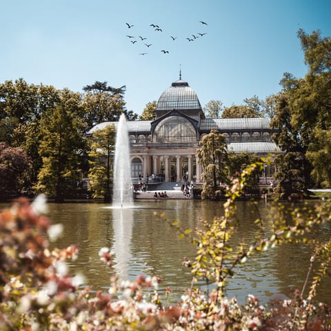 Stroll to El Retiro Park and enjoy the beauty of nature that surrounds you