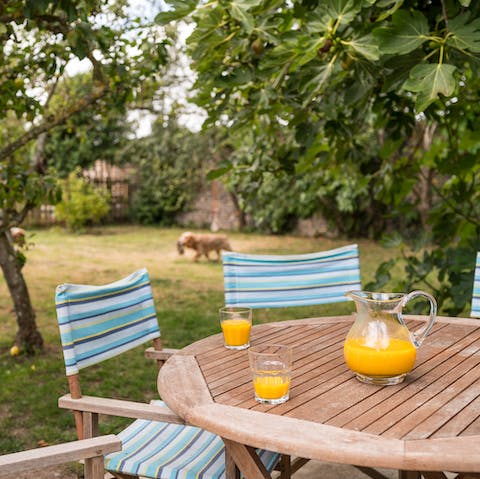 Enjoy an afternoon drink in the garden