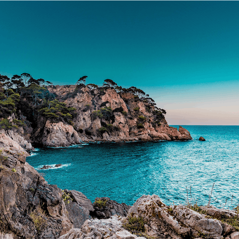 Explore Marbella's stunning coastline and sandy Mediterranean beaches