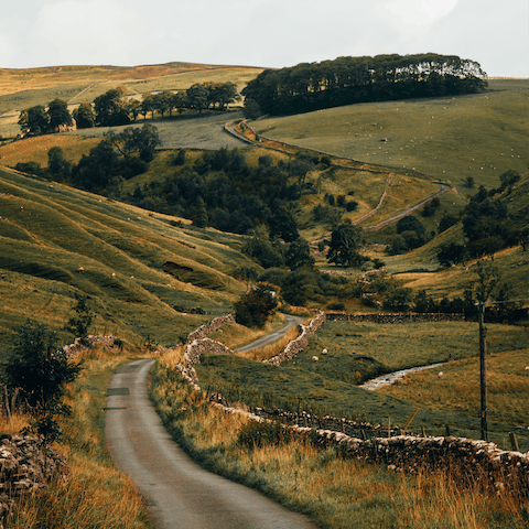 Drive into the North Yorkshire countryside and forests within ten minutes
