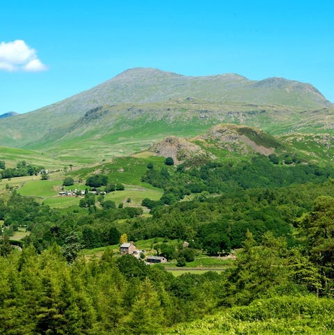 Hike along the awe-inspiring Scapell Pike, just a thirty-one-minute drive away