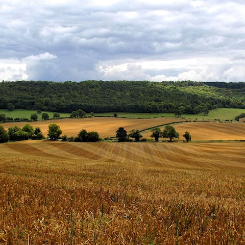 Discover the beauty of the rolling Chiltern Hills, a fifteen-minute drive away