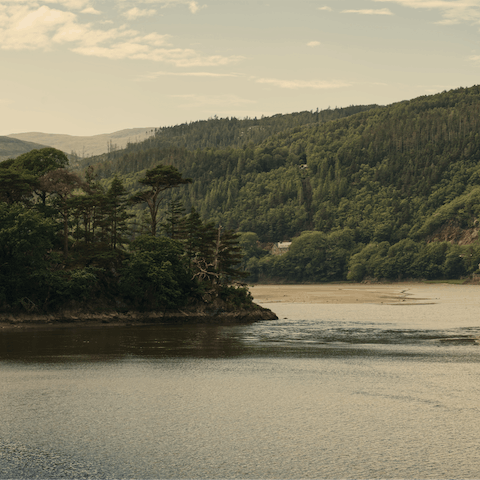Put on your walking boots and take the Precipice Walk and Mawddach Trail along the waterside 