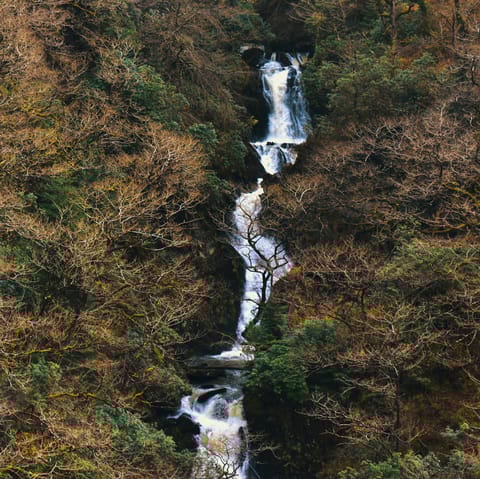 Stay three miles outside of Aberystwyth, a stone's throw from away Llanfarian village