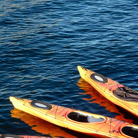 Take the villa's kayaks out to the beachfront 