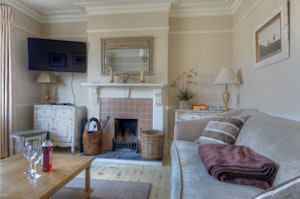 The Edwardian image 5