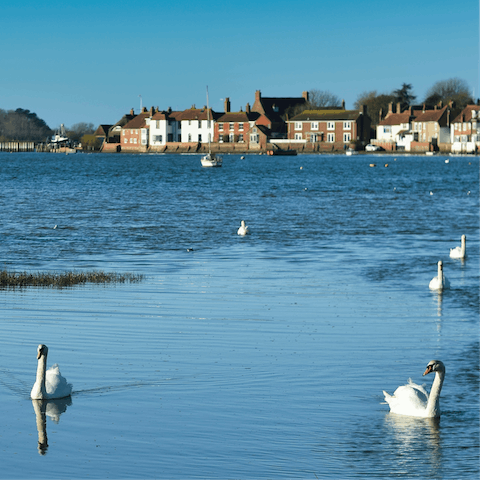 Enjoy stunning countryside walks along the River Lavant in Chichester and Bosham