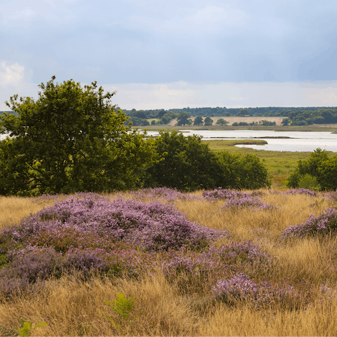 Take a walk in the beautiful Suffolk countryside