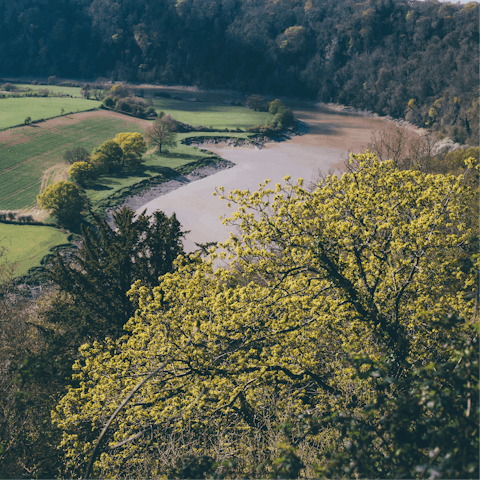 Visit one of the local market towns or enjoy a spot of canoeing on the River Wye