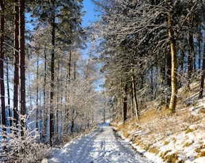 Once Upon a Fairytale image 9