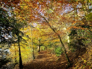 Once Upon a Fairytale image 6