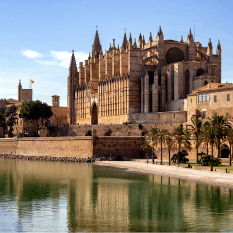 Spend a day exploring the majestic city of Palma 