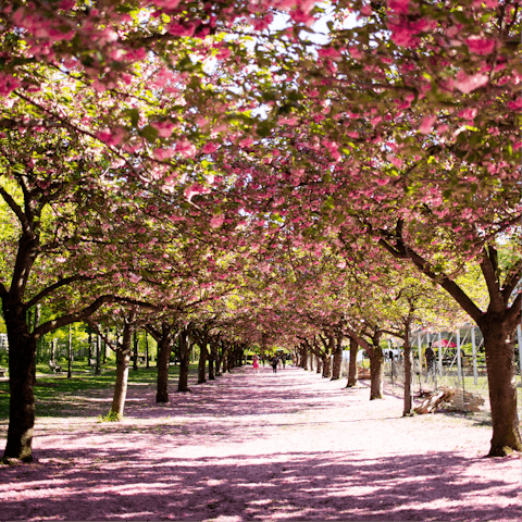 Enjoy a springtime stroll through Brooklyn Botanic Garden, only seven minutes on foot from the apartment