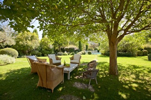 Lavender Vistas image 10