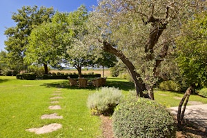 Lavender Vistas image 2