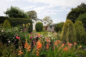 Tea & Cake image 14