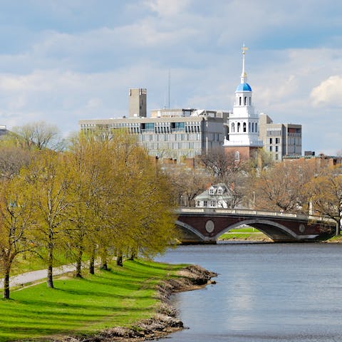 Drive down to the Charles River and enjoy amenities like bike paths, nature walks and sailing