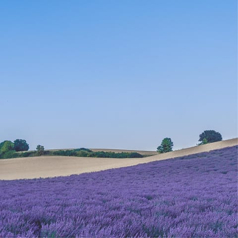 Experience the beauty of rural France from Provence