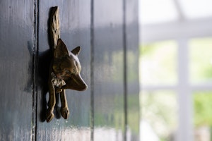 Wolf Cottage image 4